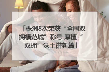 株洲8次荣获“全国双拥模范城”称号 厚植“双拥”沃土谱新篇